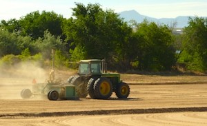 Laser-Leveling for an Alfalfa Field